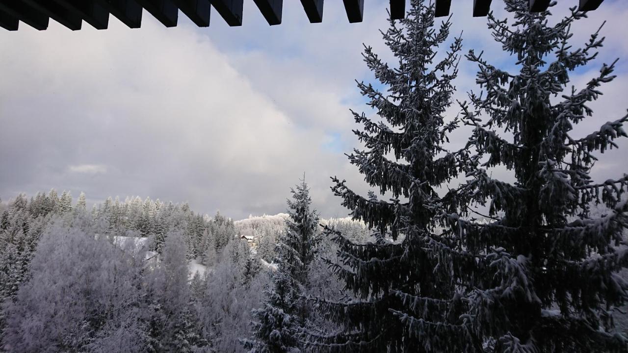 Apartament 2706 Alpin Resort, Etaj 7, Poiana Brašov Exteriér fotografie