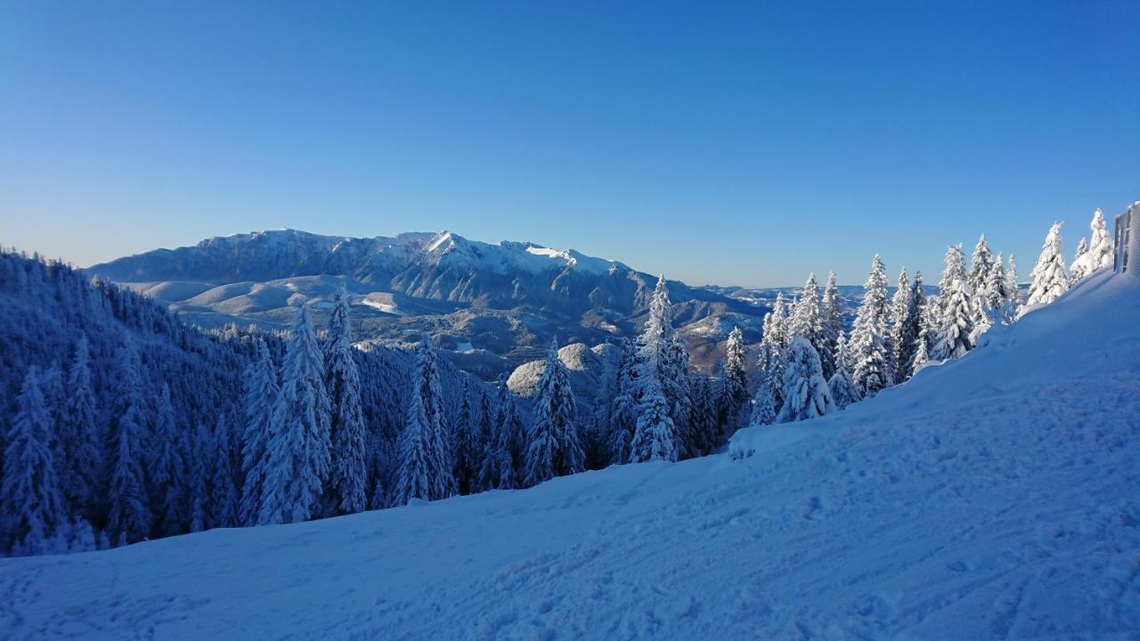 Apartament 2706 Alpin Resort, Etaj 7, Poiana Brašov Exteriér fotografie