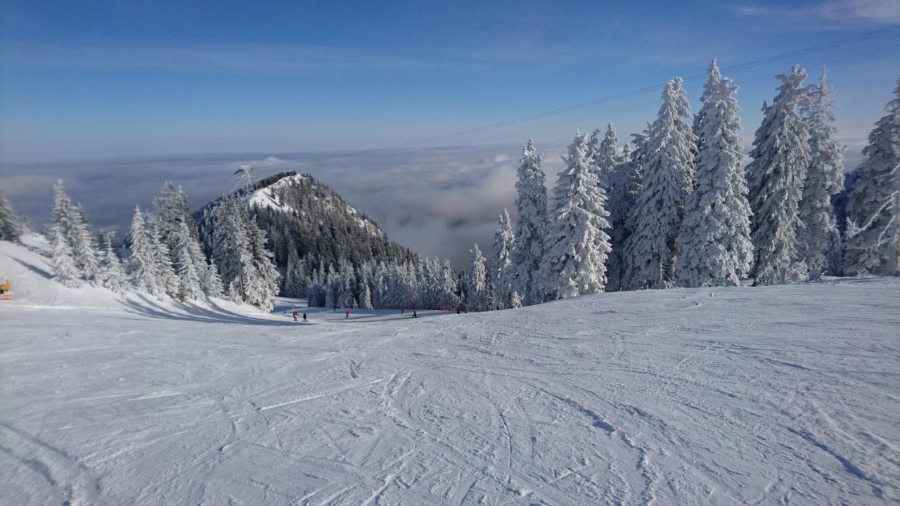 Apartament 2706 Alpin Resort, Etaj 7, Poiana Brašov Exteriér fotografie
