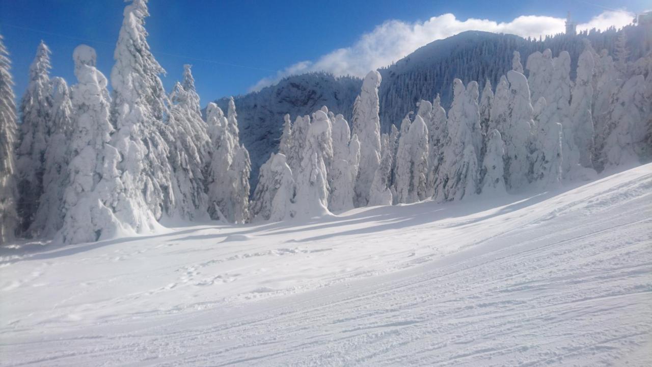 Apartament 2706 Alpin Resort, Etaj 7, Poiana Brašov Exteriér fotografie