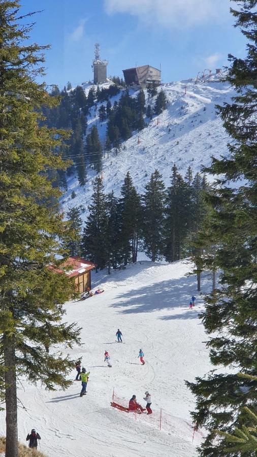 Apartament 2706 Alpin Resort, Etaj 7, Poiana Brašov Exteriér fotografie
